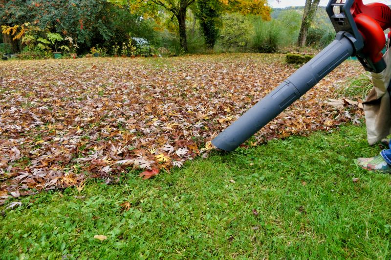 Lawn Cleanup Service in Ventura County, CA