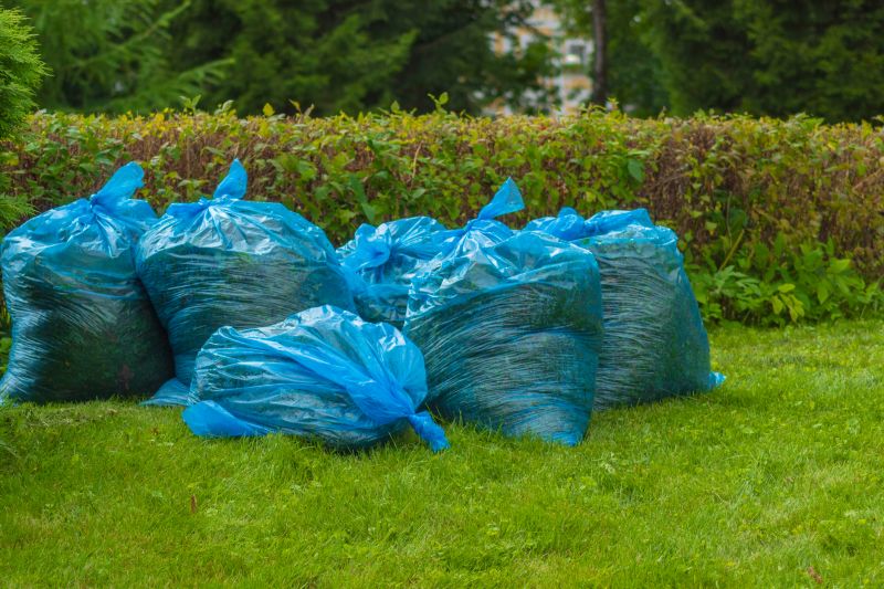 Lawn Debris Cleanup in Honolulu, HI