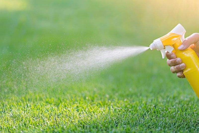 Lawn Herbicide Treatment in Aiken, SC