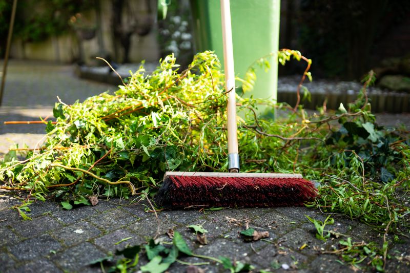 Leaf Cleanup Service in Ventura County, CA