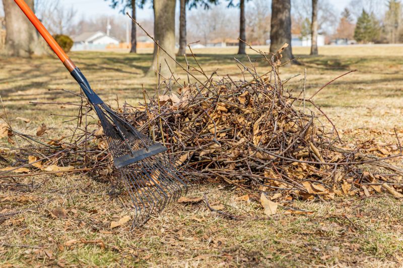 Leaf Raking Service in Ventura County, CA