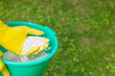 Fertilize Your Lawn