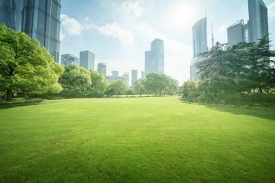 Have Well Maintained Grass