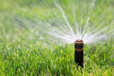 Watering the Lawn