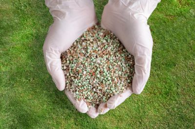 Lawn Fertilizing
