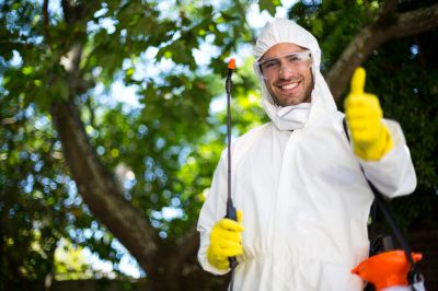 Avoid Weeds and Control Pests!