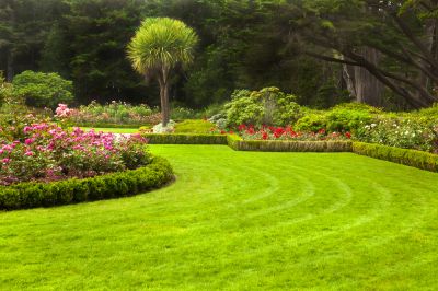 Keep Your Commercial Lawn Healthy